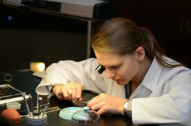 帝舵北京保养服务中心地址有哪些？